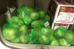 Food supplies for hospitals in Amritsar 2 Food supplies for hospitals in Amritsar 2